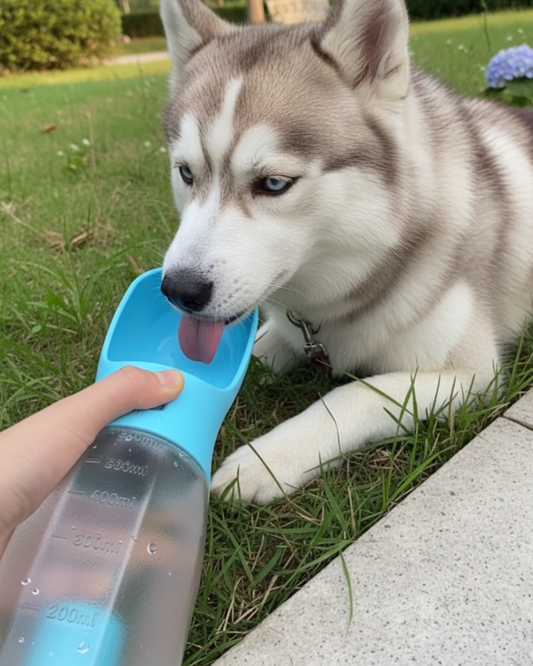 Leak-Proof 3-in-1 Dog Water Bottle with Collapsible Bowl and Poop Bag Dispenser